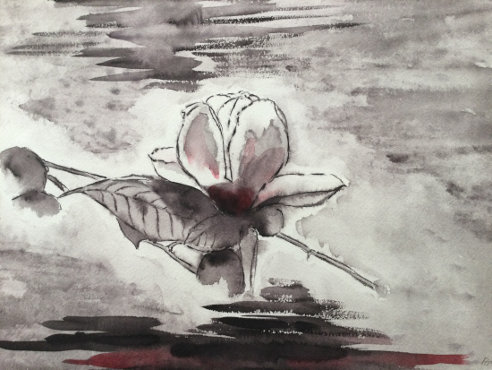 Bild A-012 