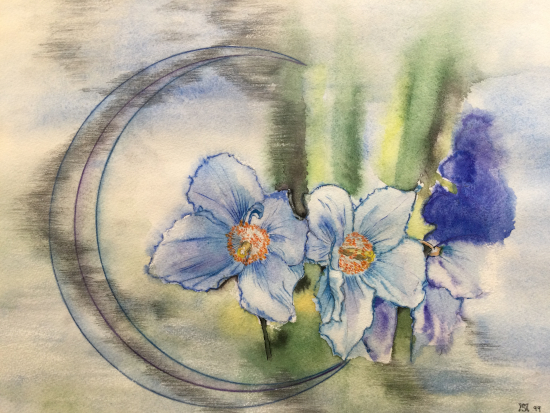 Bild A-014